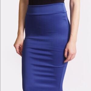 Blue Pencil Skirt